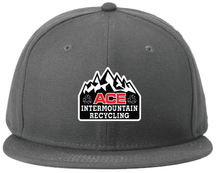 Ace Intermountain Recycling Flat Bill Hat